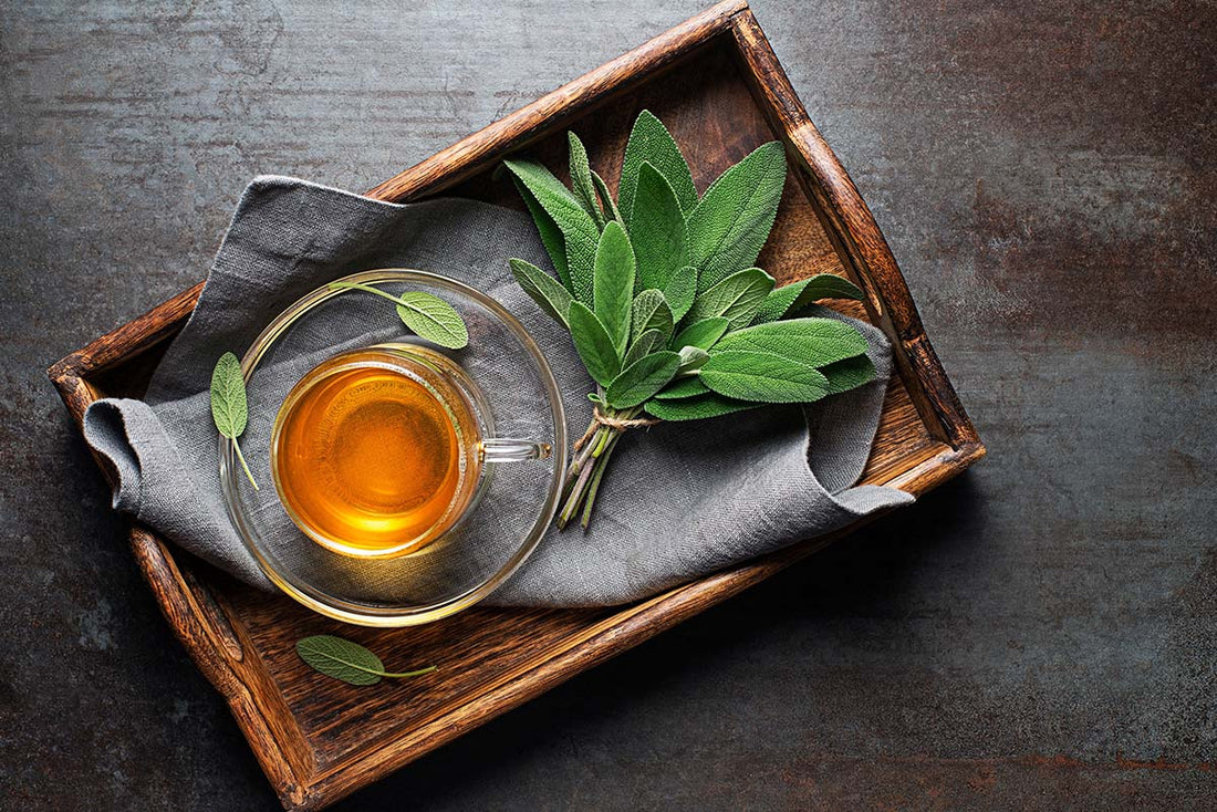 🌿 La sauge en infusion : une plante aux multiples bienfaits