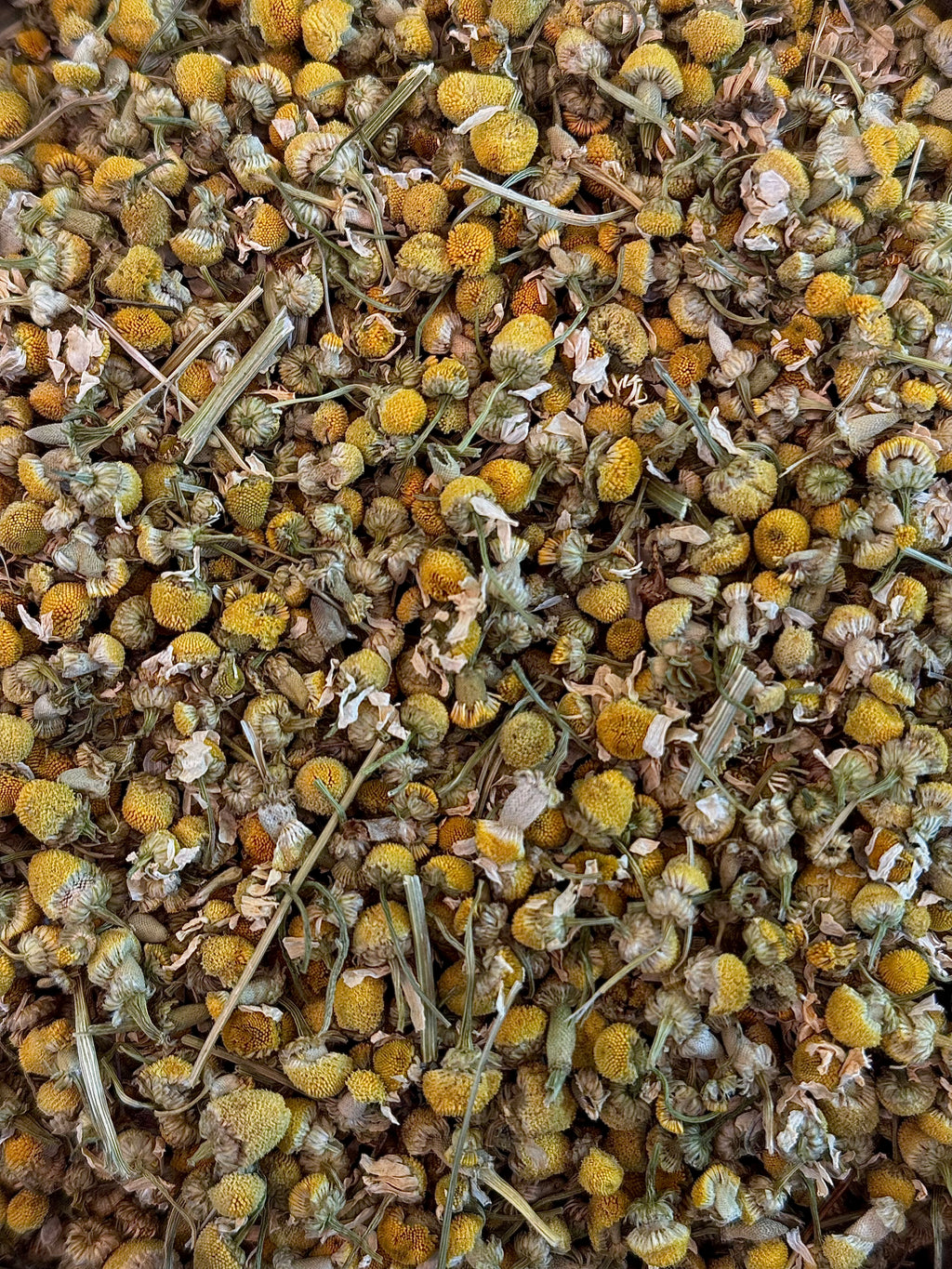 Infusion à la Camomille – Douceur et Sérénité Naturelle