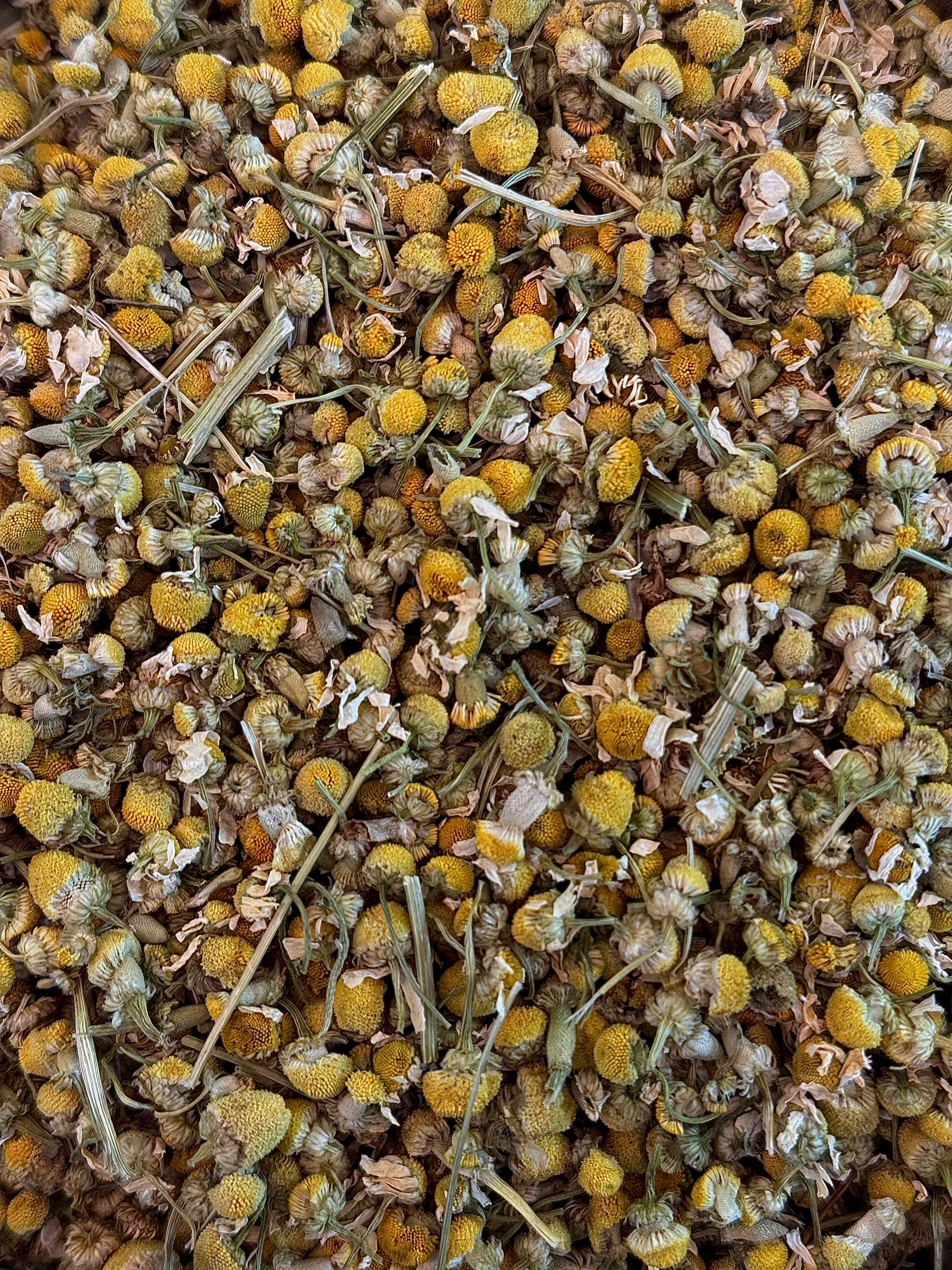 Infusion à la Camomille – Douceur et Sérénité Naturelle