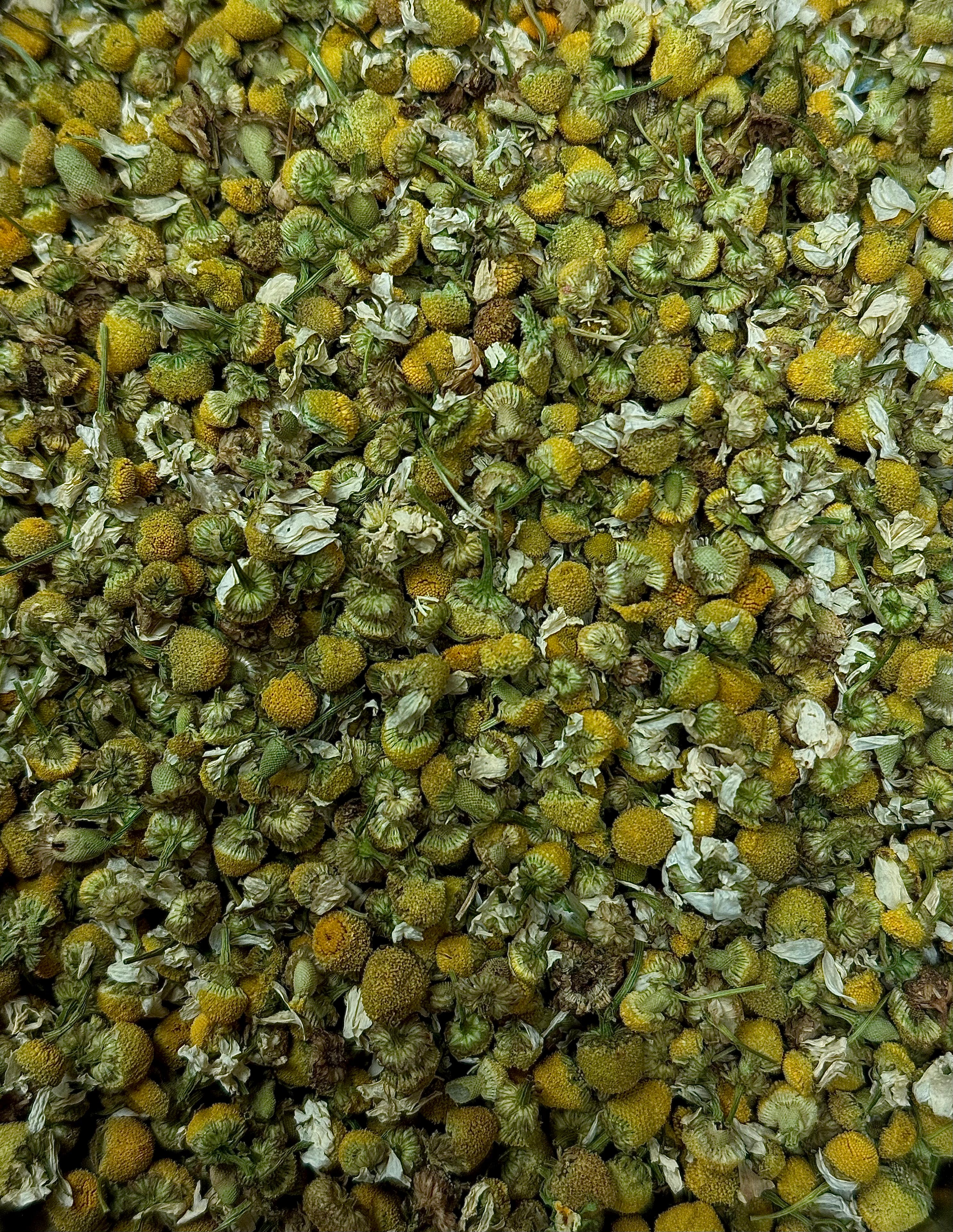 Organic Matricaria Chamomile — The Sweetness & Serenity Infusion