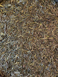 Gyokuro Hiki – Grand cru, shade-grown Japanese tea