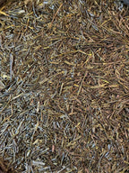 Gyokuro Hiki – Grand cru, shade-grown Japanese tea