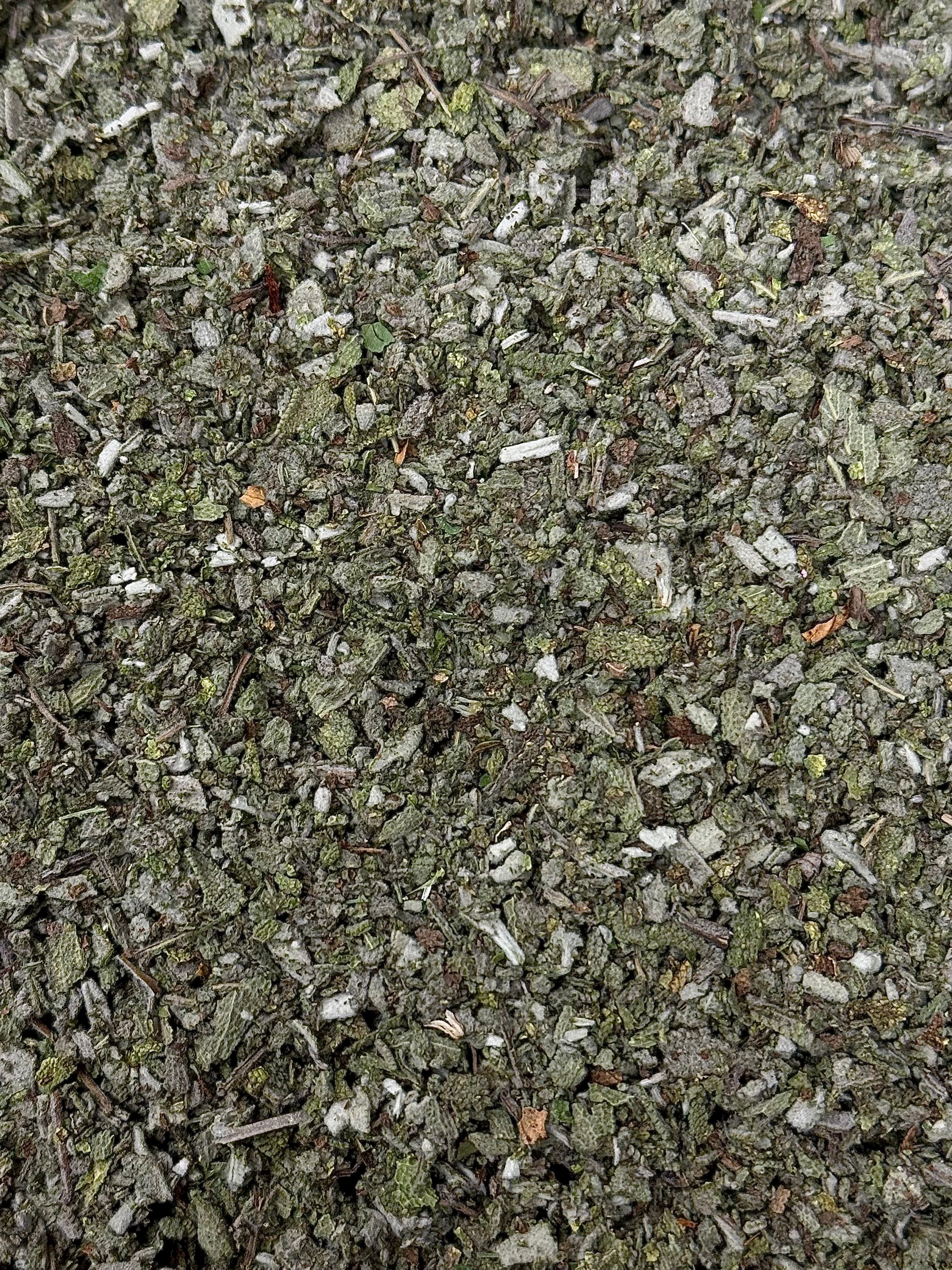 Sauge Bio — L’Infusion Équilibre & Purification